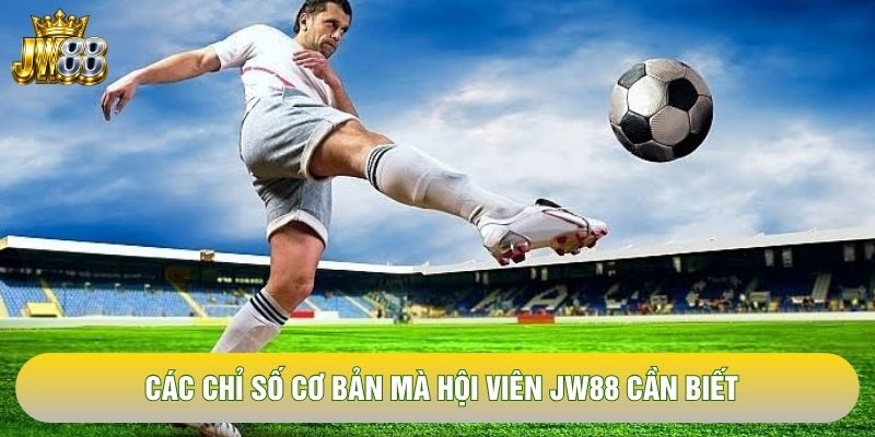 Các chỉ số cơ bản mà hội viên JW88 cần biết Các chỉ số cơ bản mà hội viên JW88 cần biết