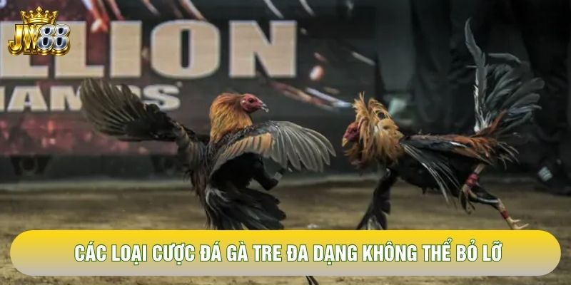 Các loại cược đá gà tre đa dạng không thể bỏ lỡ Các loại cược đá gà tre đa dạng không thể bỏ lỡ