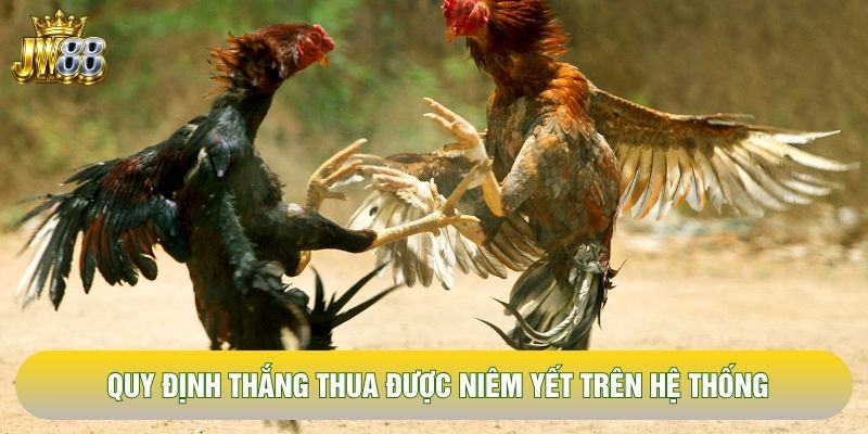 Quy định thắng thua được niêm yết trên hệ thống Quy định thắng thua được niêm yết trên hệ thống