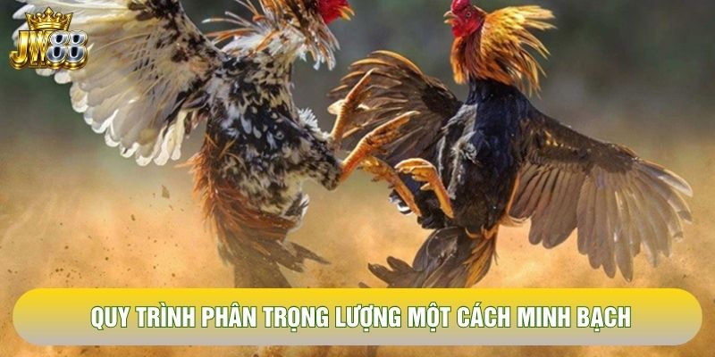 Quy trình phân trọng lượng một cách minh bạch Quy trình phân trọng lượng một cách minh bạch